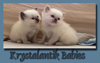 Krystalantik 
